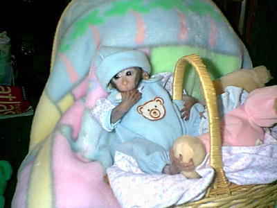 babyjava4.jpg